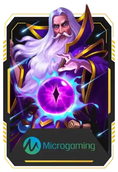 microgaming by รวย1688